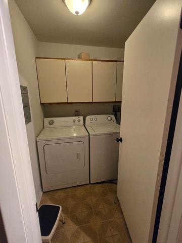 314 Silverwood Court B1, Schaumburg, IL 60193