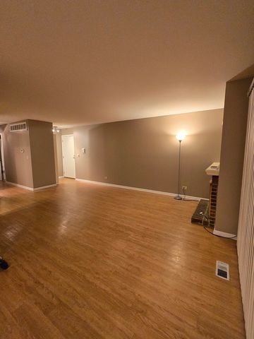 314 Silverwood Court B1, Schaumburg, IL 60193