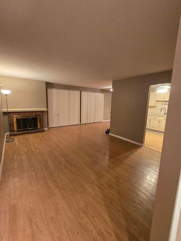 314 Silverwood Court B1, Schaumburg, IL 60193