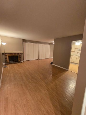 314 Silverwood Court B1, Schaumburg, IL 60193