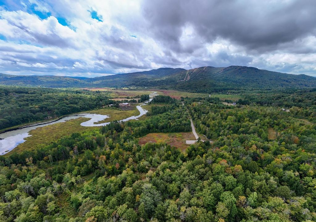 66 Phelps Lane, Danbury, NH 03230