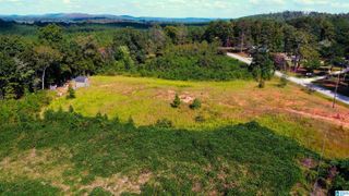 0 COUNTY ROAD 91, Goodwater, AL 35072