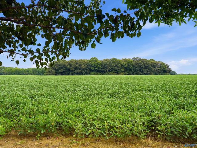 25360 Oak Grove Road, Athens, AL 35613
