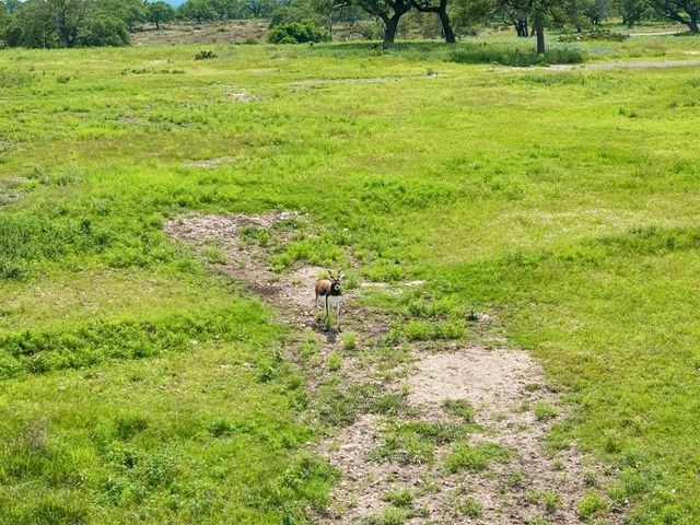 1501 N Cattlemans Crossing Dr, Kerrville, TX 78028