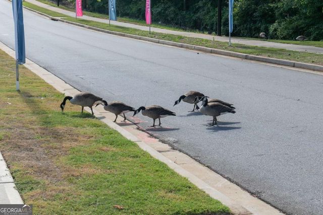 3102 Cambridge Mill Street, Acworth, GA 30102