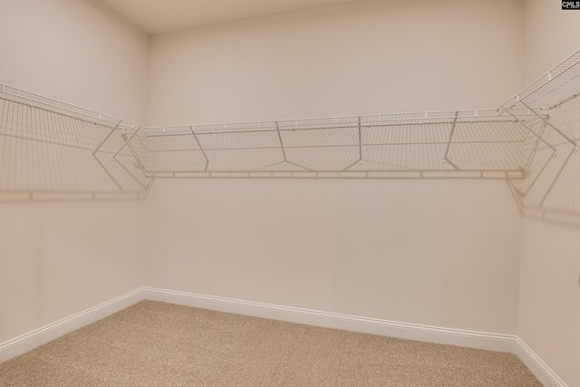 2412 Green Viper Loop, Blythewood, SC 29016