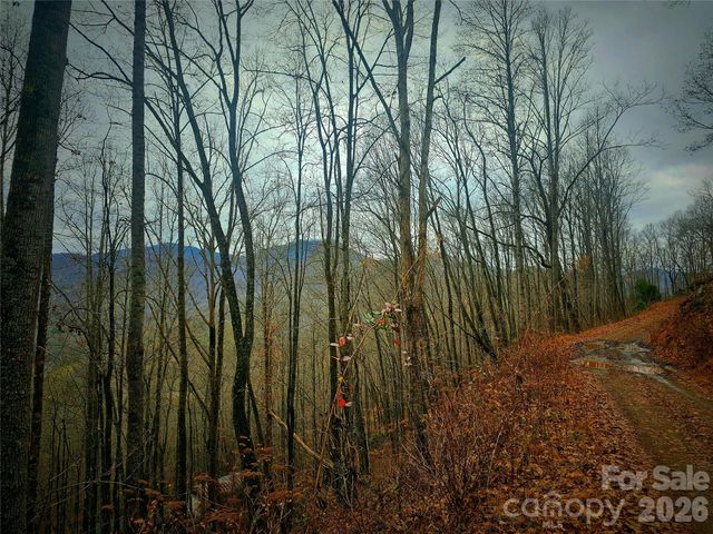 21 Long Winding Road 4,5, Sylva, NC 28779