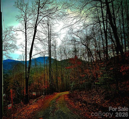 21 Long Winding Road 4,5, Sylva, NC 28779