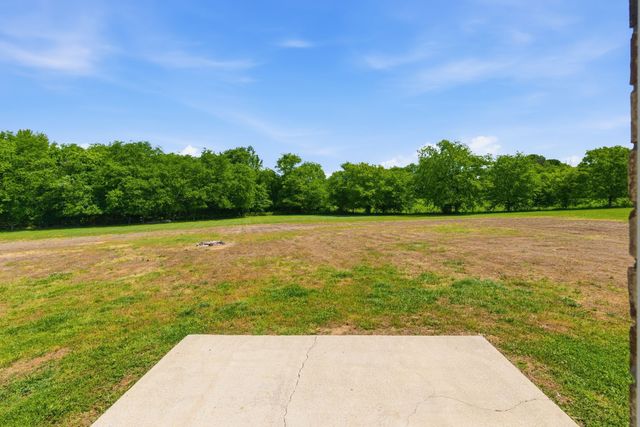 1010 Meridian Dr, Castalian Springs, TN 37031