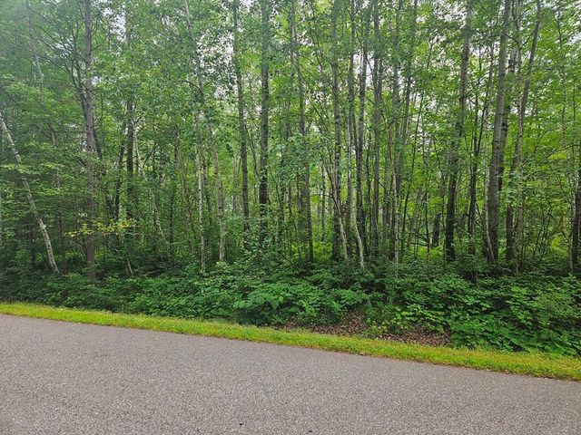 Lot 4 Blk 2 SW 1st Avenue, Grand Rapids, MN 55744