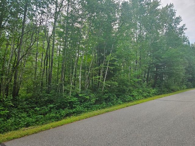 Lot 4 Blk 2 SW 1st Avenue, Grand Rapids, MN 55744