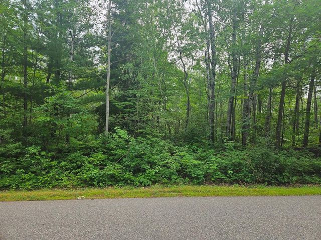 Lot 4 Blk 2 SW 1st Avenue, Grand Rapids, MN 55744