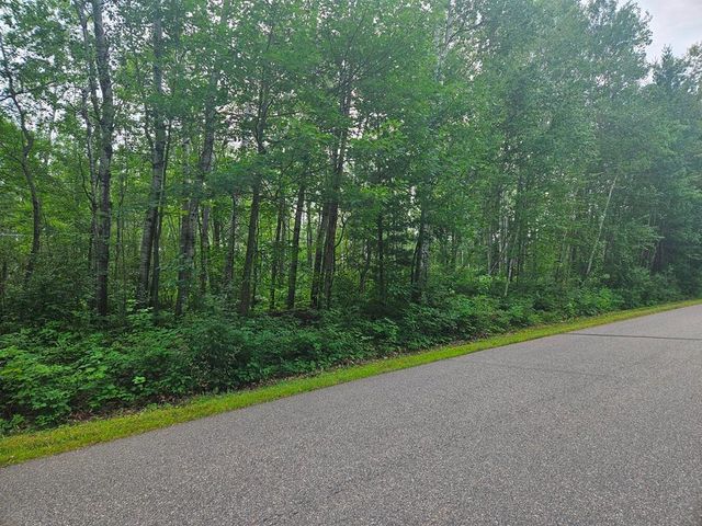 Lot 4 Blk 2 SW 1st Avenue, Grand Rapids, MN 55744