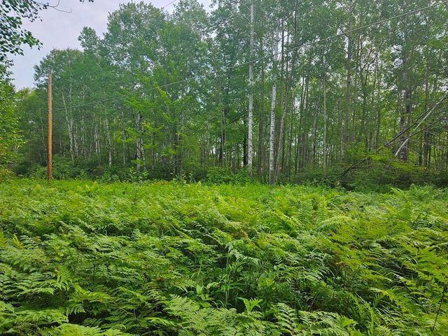 Lot 4 Blk 2 SW 1st Avenue, Grand Rapids, MN 55744