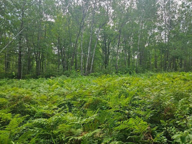 Lot 4 Blk 2 SW 1st Avenue, Grand Rapids, MN 55744