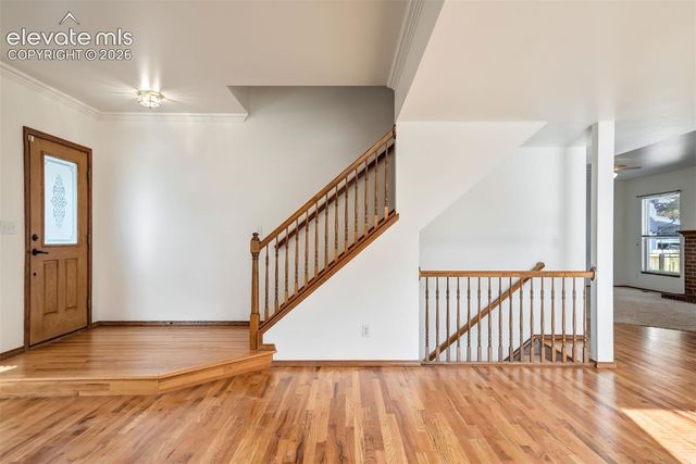6629 Standing Rock Place, Colorado Springs, CO 80923