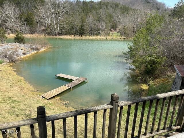 742 Black Sheep Hollow Road, Sneedville, TN 37869