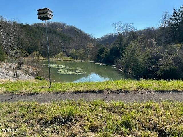 742 Black Sheep Hollow Road, Sneedville, TN 37869
