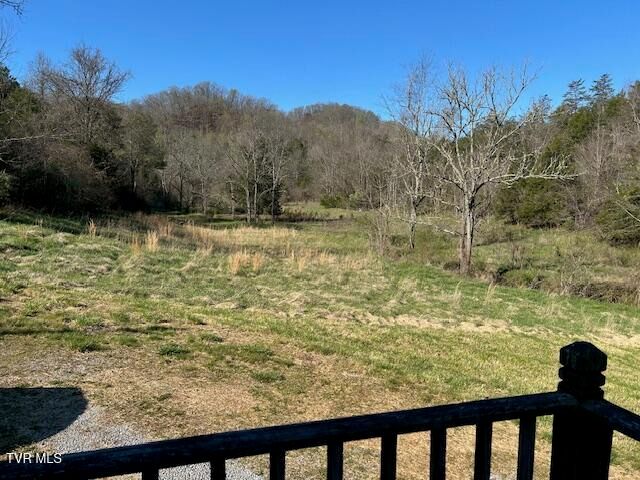742 Black Sheep Hollow Road, Sneedville, TN 37869