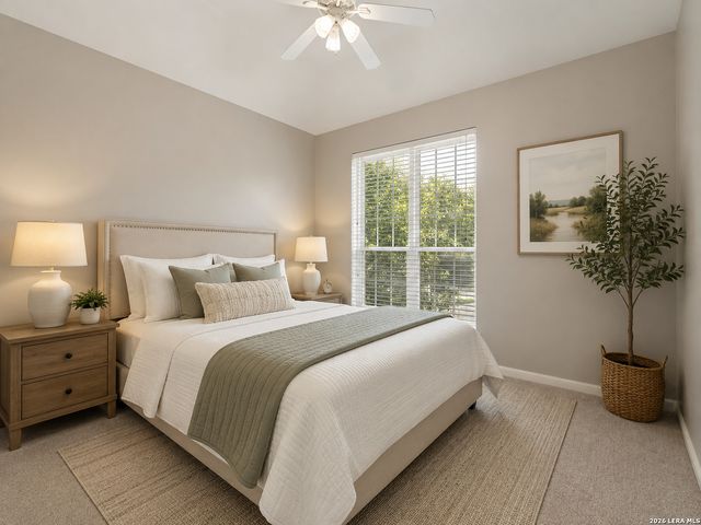 2560 Cove Trail, Schertz, TX 78154