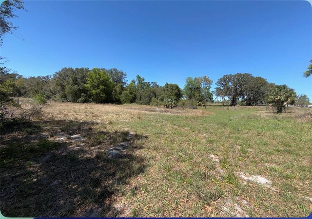 9844 POE STREET, Leesburg, FL 34788