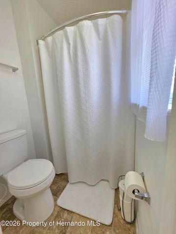 9055 Pemberton Street, Spring Hill, FL 34608