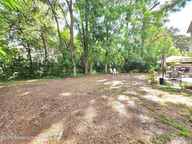 9055 Pemberton Street, Spring Hill, FL 34608