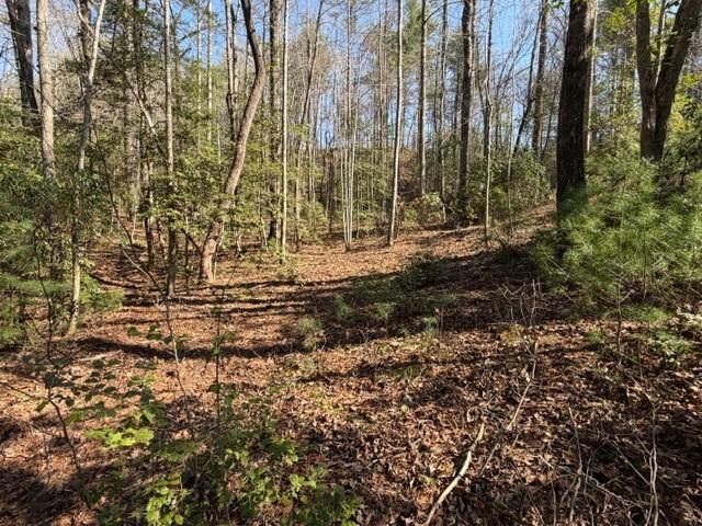 0 Black Falls Road, Dahlonega, GA 30533