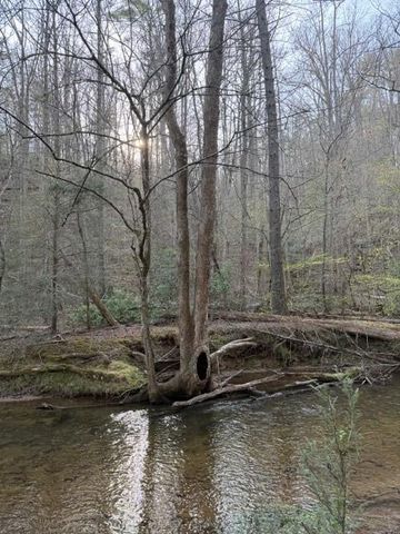 0 Black Falls Road, Dahlonega, GA 30533