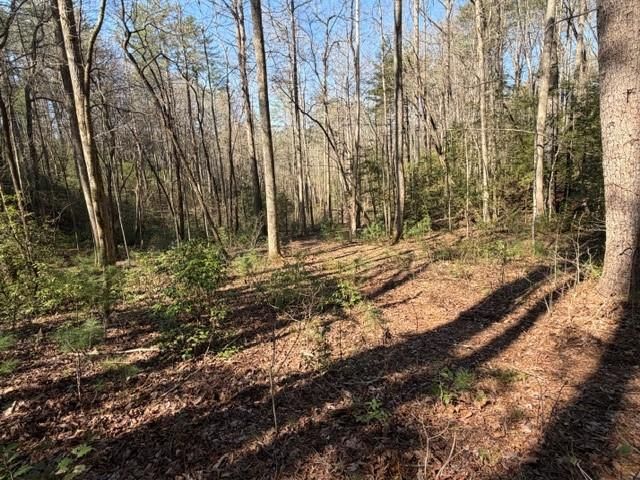 0 Black Falls Road, Dahlonega, GA 30533