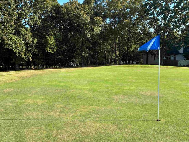 TBD Arlington Drive, Hot Springs, AR 71913