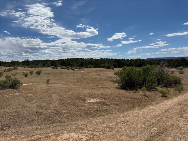 4530 Horse Canyon Road, De Beque, CO 81630