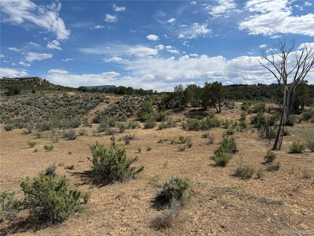 4530 Horse Canyon Road, De Beque, CO 81630