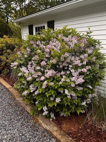 25 Frances Helen Rd, Yarmouth, MA 02675