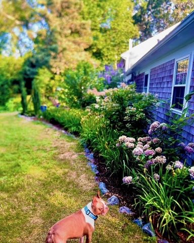 25 Frances Helen Rd, Yarmouth, MA 02675