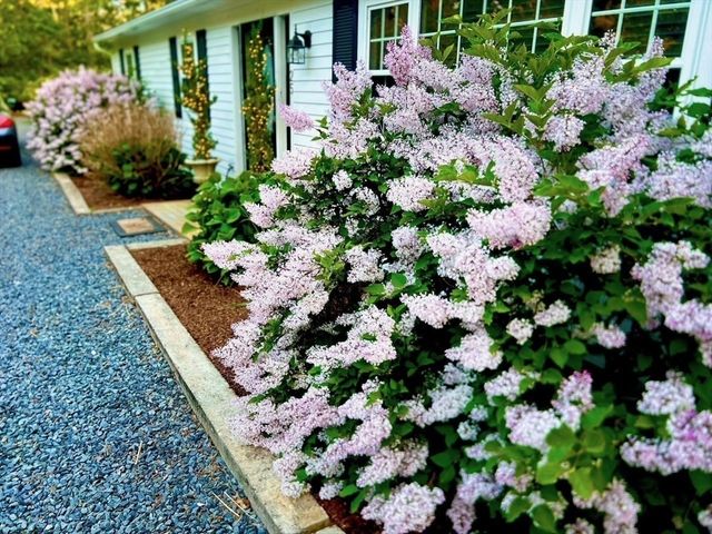 25 Frances Helen Rd, Yarmouth, MA 02675