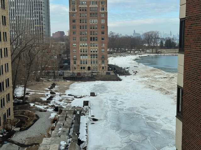 7337 S SOUTH SHORE Drive 704, Chicago, IL 60649