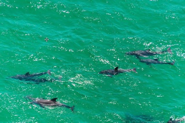 108 Pelican Circle, Inlet Beach, FL 32461