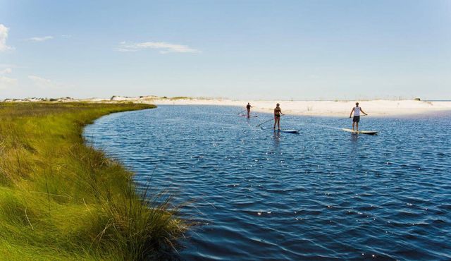 108 Pelican Circle, Inlet Beach, FL 32461