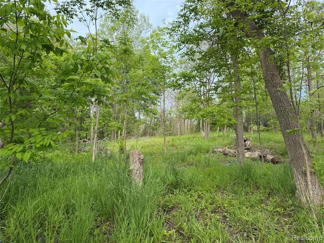 9200 Perry Road, Atlas, MI 48411