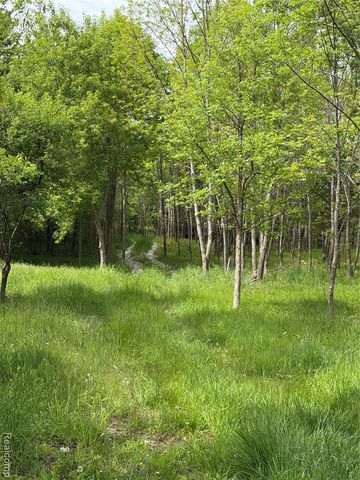 9200 Perry Road, Atlas, MI 48411