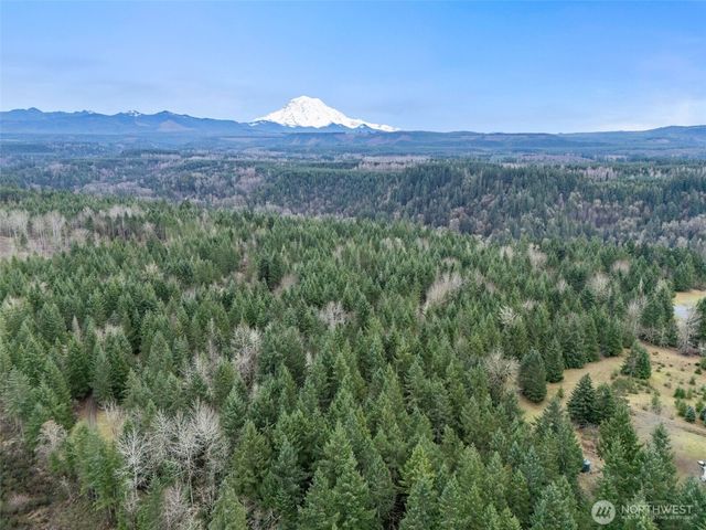 17011 226th Avenue E, Orting, WA 98360