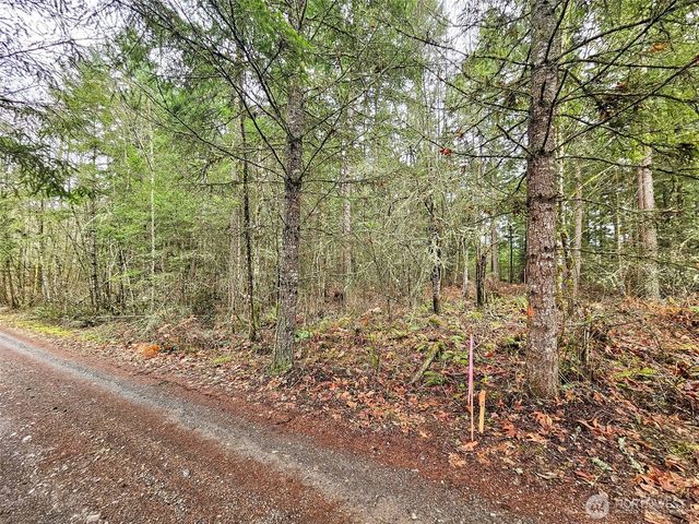 17011 226th Avenue E, Orting, WA 98360