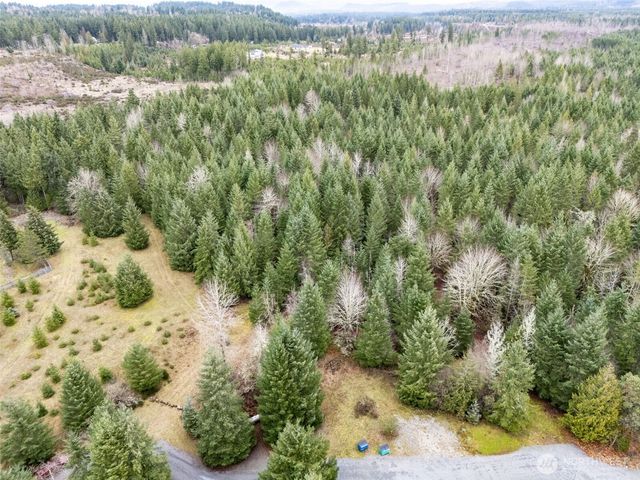 17011 226th Avenue E, Orting, WA 98360