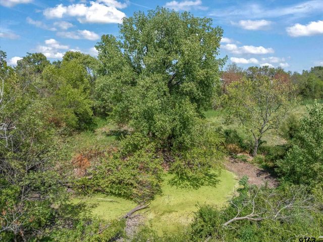 000 College, Canton, TX 75103