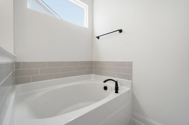 345 Patana, White House, TN 37188