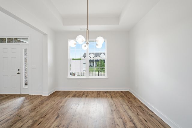 345 Patana, White House, TN 37188