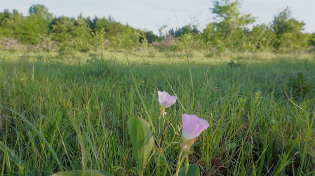 TBD Lot 3 Adams Road, Sherman, TX 75090