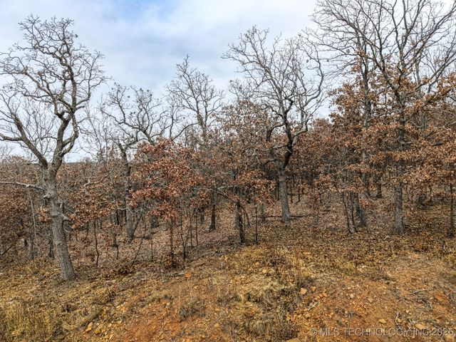 15956 Lakewood Circle, Skiatook, OK 74070