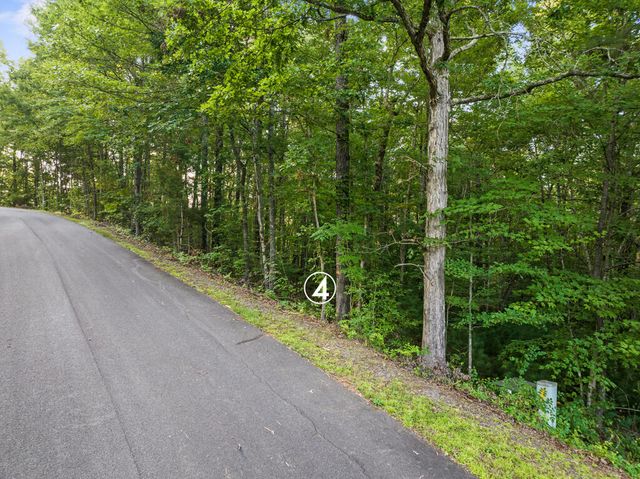 lot 4 Timber Oaks Drive, Turtletown, TN 37391